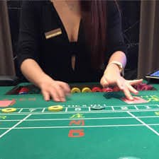 3333bet login